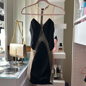 Fashion Nova Mesh Mini Dress